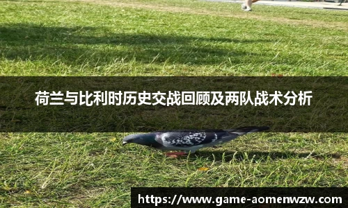 荷兰与比利时历史交战回顾及两队战术分析